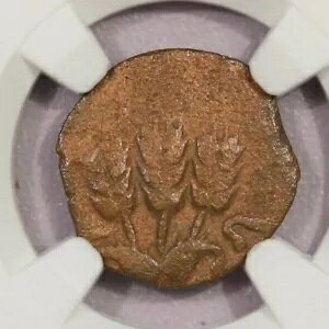 AD 37-44 ���_�� �A�O���b�p I AE �v���^ yr.6 NGC G B-11