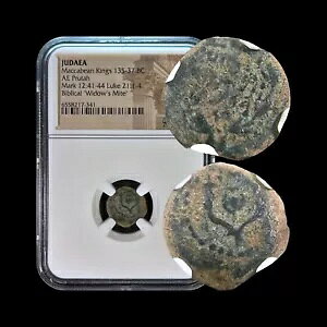 _BIO 135 NA? Prutah - NGC CERT - }JrA LOXAEBhEY }Cg 341