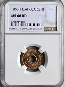 pAtJ 1 Zg 1955H NGC MS 66 RD
