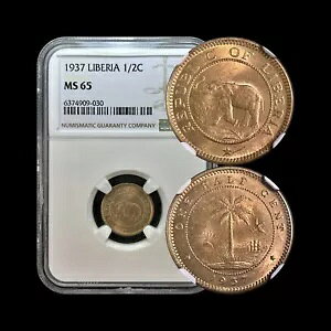 xAB 1937 NA1/2 Zg - NGC MS65 - ہAV̖