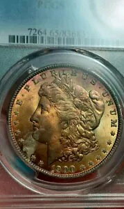 1900 P [K Vo[ _[ PCGS MS65 t@CA{[ gi[