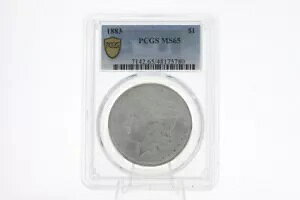 1883 ���[�K�� �V���o�[ 1 �h�� �R�C�� PCGS MS 65 �����P�[�X����