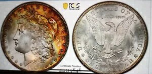 1904-O [K Vo[ _[ PCGS MS64AO^̑fpȐFB