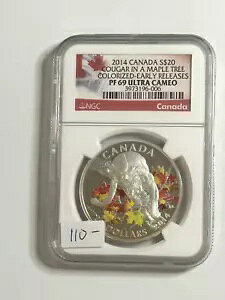 2014 Ji_ $20 [v c[̃N[K[ [X PF 69 Eg JI NGC