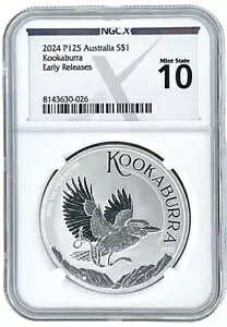 2024 I[XgA 1 IX Vo[CJZ~ NGCX MS10 [X