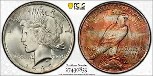 1923-P �s�[�X�_���[ PCGS MS64 EOR TAB ���C���{�[�g�[���̃��j�[�N�ȃG���h�I�u���[�� & �r�f�I