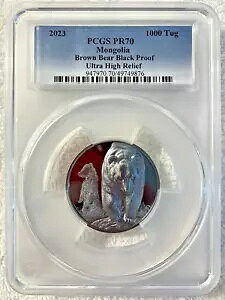 2023 BROWN BEAR Growing Up 2 IX Vo[ ubN v[t RC-PCGS PR70- ~e[W 333