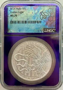 2024 }^ S5E S[f C[O NGC MS70 1 IX 999.9 ㎿