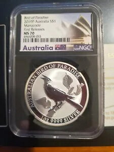 2019P I[XgA S$1 Bird of Paradise Manucode 񃊃[X/ubN RA