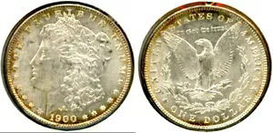 1900 $1- zCg & fGȒF IWi̕\ʂƃJ[ [K h