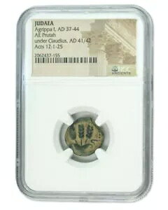 Agrippa 1st Judaea Bronze Prutah NGC �F��X���u (�n�C�O���[�h) ���Y�R�C