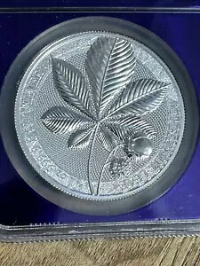 2021 1IX Q}jA S5M `FXibg [t vCx[g CV[ MS 70 p[v RA!!! ??