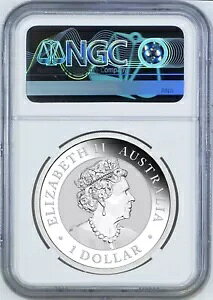 2022 NAVo[CJZ~ NGC MS70 $1 1oz RCɃGUxX 2 ̏ё