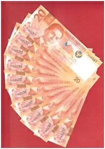 BBM 2022 �t�B���s�� 20 �y�\�s�\ NGC �}���R�X �W���j�A�A���_�� ���[ No. A 000091 - 100