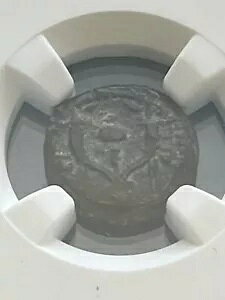 JUDAEA }JrA LOX BC 135-37 AE PRUTAHANGC F VF Cornucoias