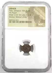 �E�B�h�E�Y �_�j NGC �F�� * �I�� * ���_���l�v���^ �I���O 103 �` 76 �N �A���N�T���_�[ �W���l�E�X