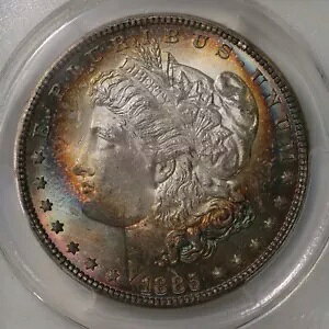 1885 [K $1 PCGS F MS63 Jtȃg[̕\ v~Ai