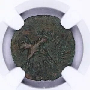 AD 52-59 ���_������ �A���g�j�E�X �t�F���b�N�X AE �v���^ NGC - VF B-15