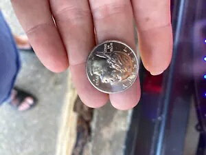 �G���[ - 2023 D - �W���r�^�E�C�_���̏����n��ɁuIn Cod We Trust�v�̏\���}�[�N���\�������