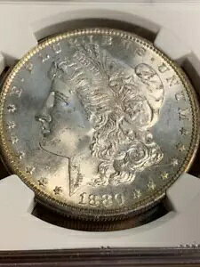 1880-S モーガン シルバー ダラー NGC グレード MS64 非常に魅力的、素晴らしい SKU# 32276