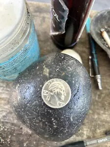 G[ - 2023 D - Wr^EC_̏nɁuIn Cod We Trustv̏\}[N\