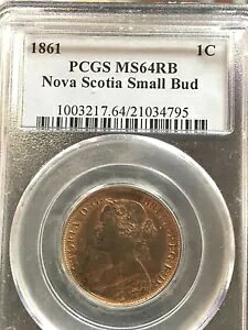 1861NmoXRVABA1ZgSMBڂ݁APCGS O[hA**MS-64** #4795