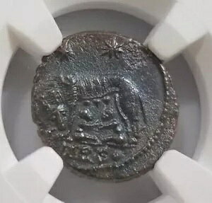 T̑oq RX^eBkX1 NGC AU [}鍑 kX̎q XEX [}