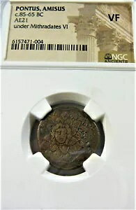 �|���g�D�X�E�A�~�T�X c85-65 �I���O�~�g���_�e�X VI AE21 NGC VF �̉���