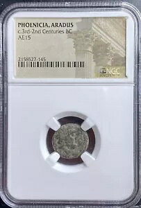 ÑtFjLA RC 174BC-141BC NGC AhDXs [EX K[D { A