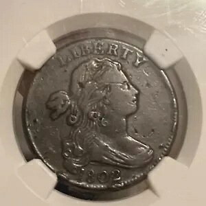 1802 1C �h���[�v�o�X�g�Z���g NGC VF
