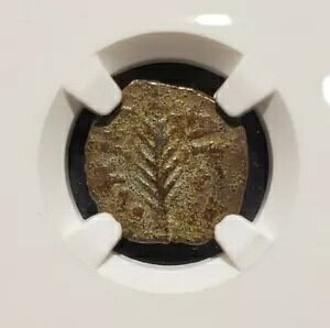 NGC �F�؍ς� VF �|���V�E�X�E�t�F�X�g�D�X�E�v���^ �l�� 59 �N���̃��_�����@��