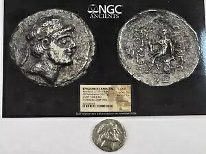 NGC Ch. Fine(Photo-Cert) �J���Z�������A�A�|�_�J�X AR �e�g���h���N�}�B�I���O110�`103�N