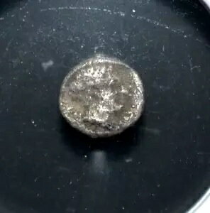 �g���I�X�A�Z�u�����A�I���O 5 ���I�AAR HEMIBOL�ANGC �F�� (205)