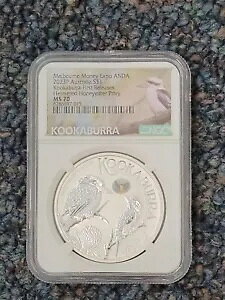 2023P NbJo 1IX Vo[ 񃊃[X { }l[ GLX| MS70 Xg NC[ +