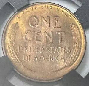 1909 VDB J[ 1 Zg {[g {bNX 9.5 bh uE F!!!