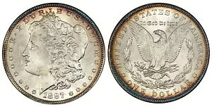 1887 AR ���[�K�� �h���B NGC MS64 �t�B���f���t�B�A KM 110�B�Â� NGC �z���_�[�Ɏ��[