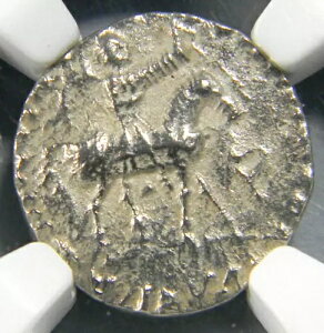 �C���h �X�L�^�C�l�A�I���O 58 �N�� AR �h���N�} �A�[�X I/II NGC XF �G�N�X�g�� �t�@�C��