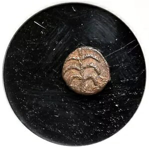 jҁB[鍑ݕB 440`490NB ? kXAV̖؁ANGC t@C