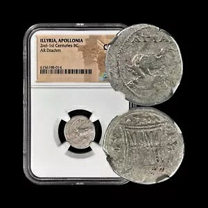 �C�����A�B�I���O 200 �N�A�h���N�}�A�� - NGC Ch F - �A�|���j�A�A�A�M�A�X�A�J�h�X�A���Ǝq��