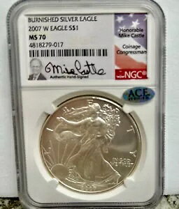 ~ 2007-W~ o~ AJ~Vo[C[O $1~NGC~MS70~}CNELbX̃TC~