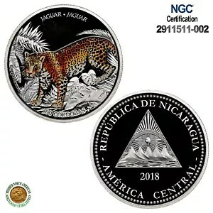 2018 �j�J���O�A S100C �W���K�[ �J���[���C�Y�h NGC PF 69 UC + COA