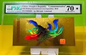 PMG70 X^[hStFjbNX 2019 kۃRC  1g