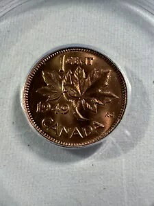 1949NJi_1Zg݁AANACSɂMS66RDO[h