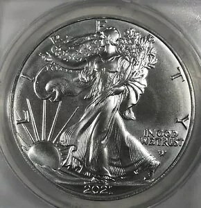 2021-W �A�����J���E�V���o�[�E�C�[�O���BASE�BANACS MS70�B�^�C�v2�B5���Z�b�g����B