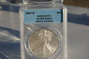 2007-W�i�o�[�j�b�V���j�A�����J���V���o�[�C�[�O�� ANACS- SP70