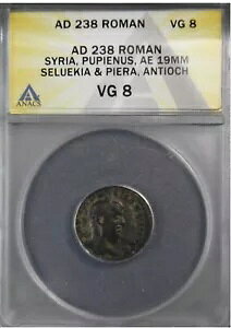 vsGkX AE19mm ZGLA&sG AeBILA VA AD 238 ANACS VG 8. ɃA