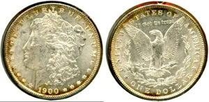 1900 $1- zCg & fGȒF IWi̕\ʂƃJ[ [K h