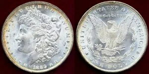 1889 $1 uXg zCg ~g X^[ & S[f g[jO IWi J[ & \ Vo[