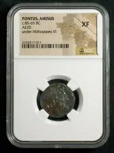 �M���V�� AE20 �|���g�X �A�~�T�X�Y �I���O 85 �` 65 �~�g���_�e�X VI �C�[�O�� ���o�[�X NGC XF 7011