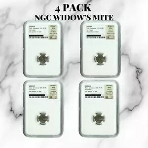 ���� 4 �{�B�O���[�h �E�B�h�E�Y �_�j �Ñ� NGC �F�� ���_�� �v���^ �I���O 100 �N�� �M�t�g �Z�b�g